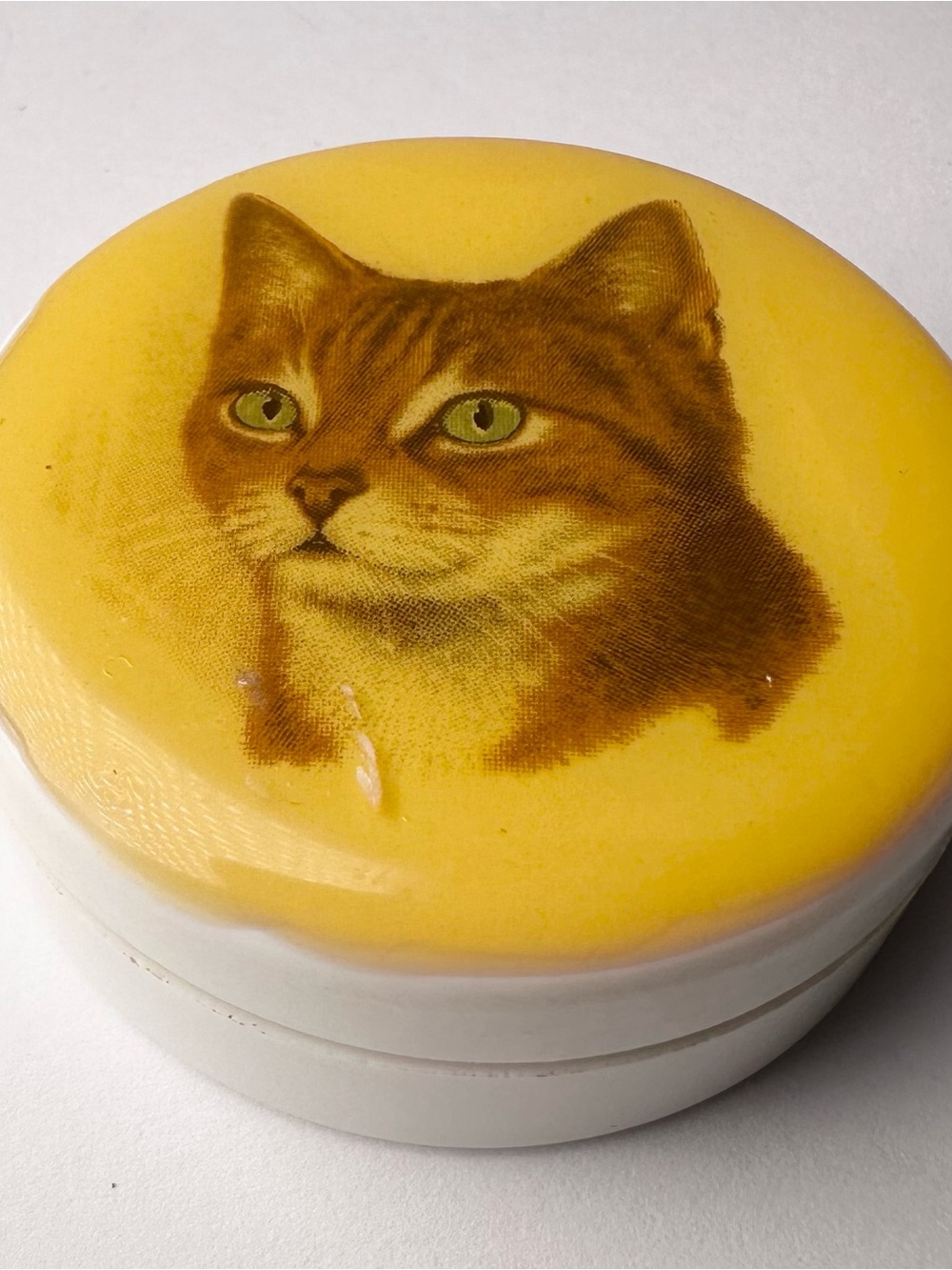 Vintage Orange Ginger Tabby Cat Head Portrait Trinket Pill Box Divider Organizer